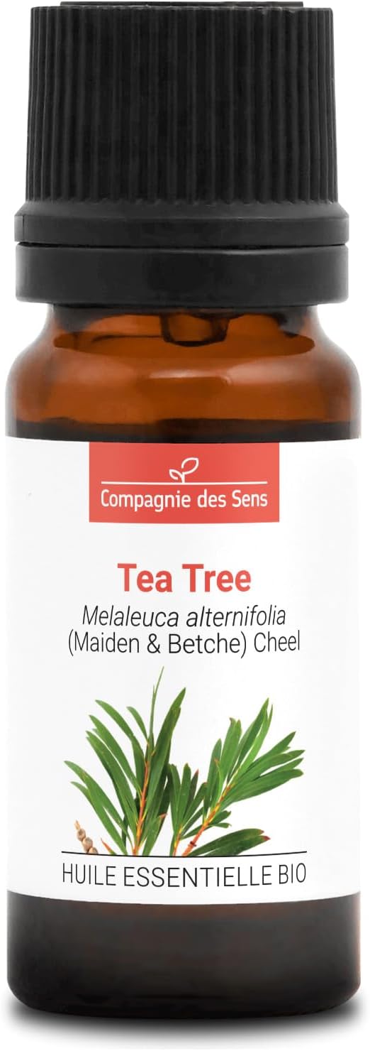 Nos coups de coeur éco